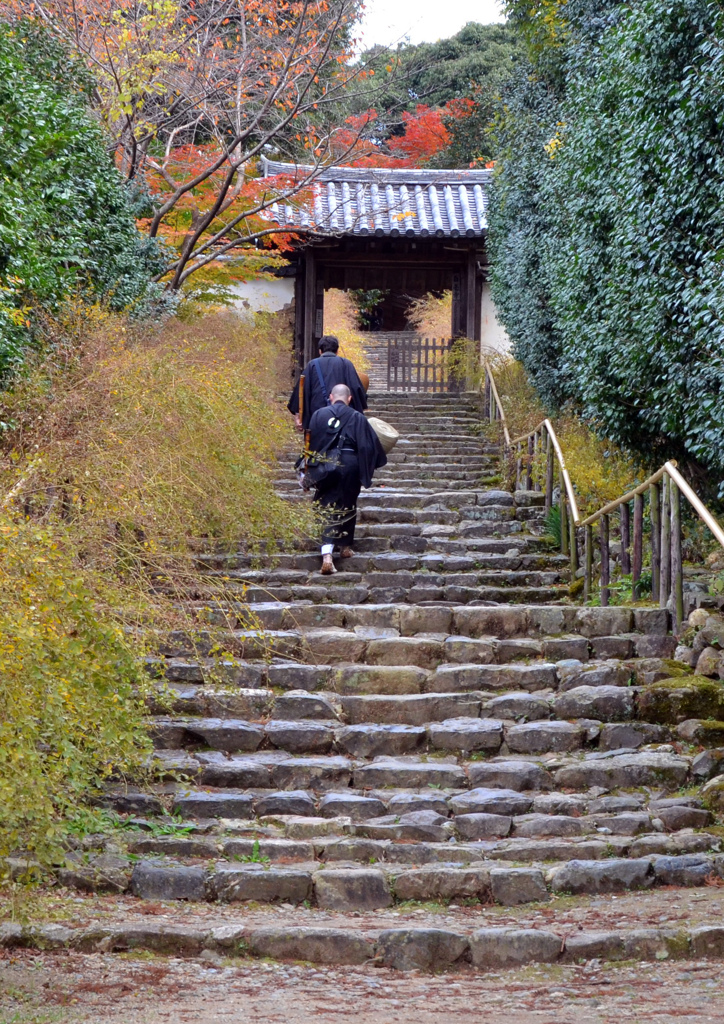 白毫寺の石段