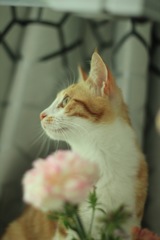 回眸