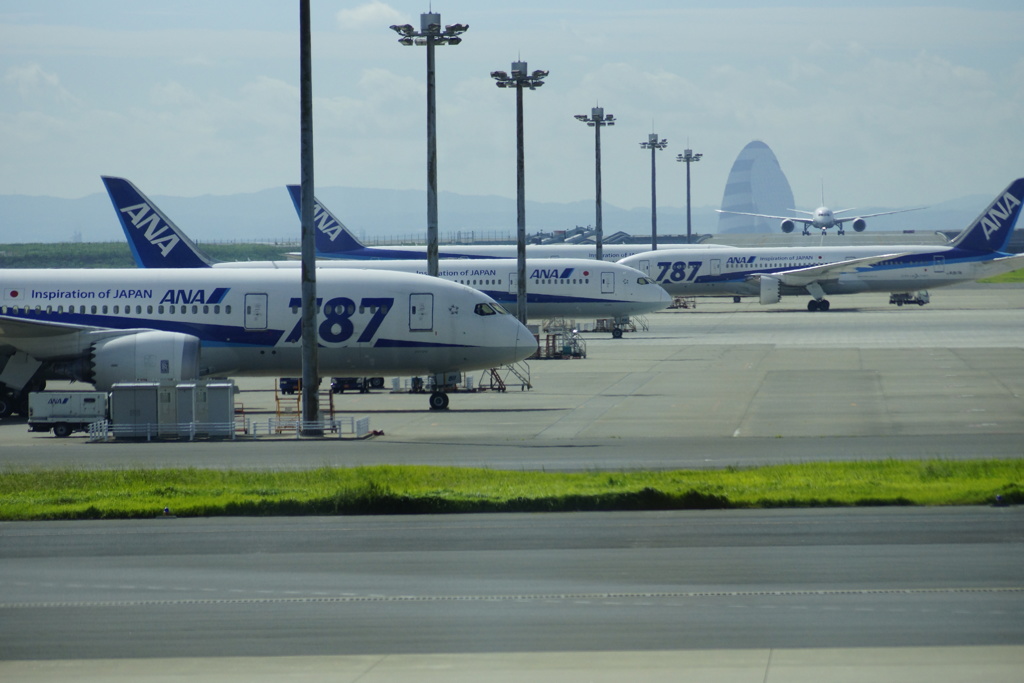 787