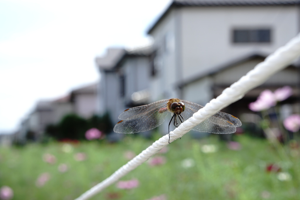 ちょっと一休み
