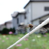 ちょっと一休み