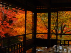 瑠璃光院