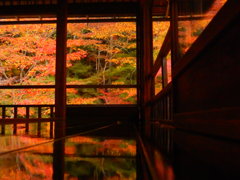 瑠璃光院