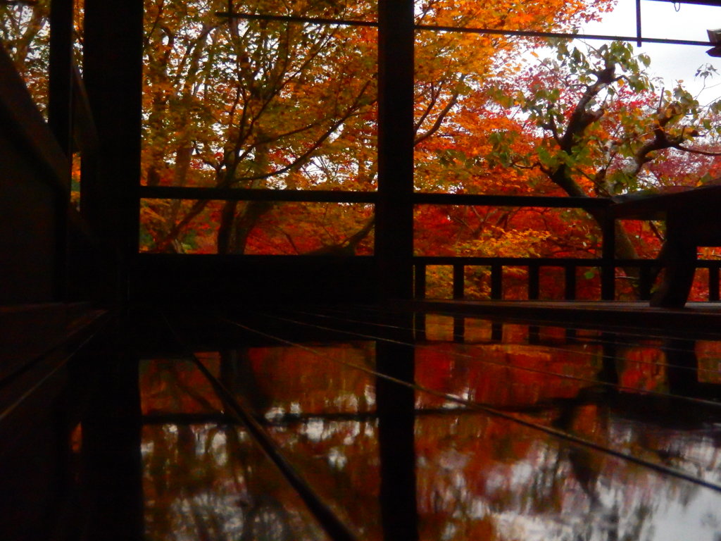 瑠璃光院