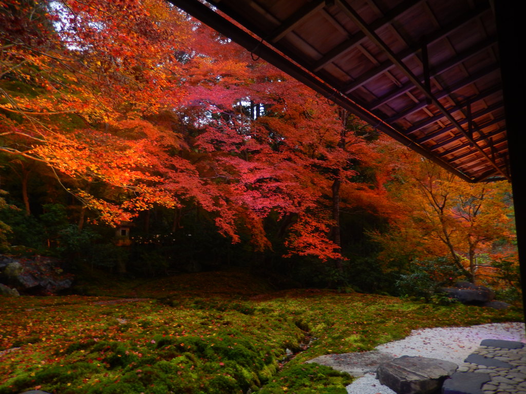 瑠璃光院