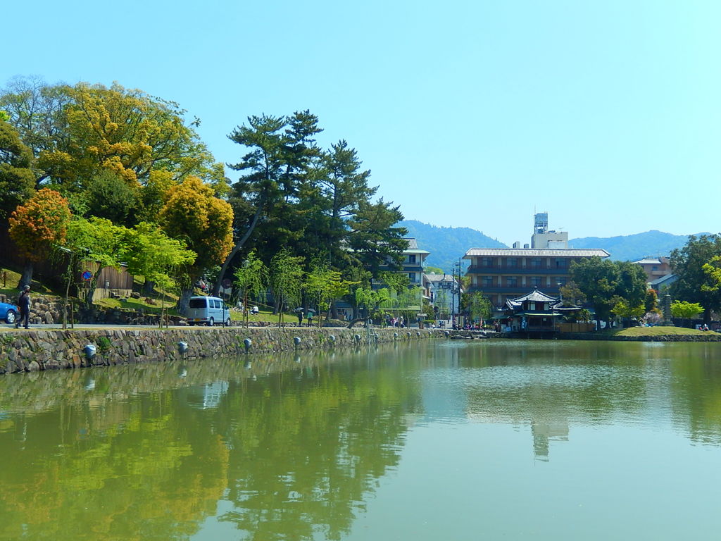 奈良　猿沢池