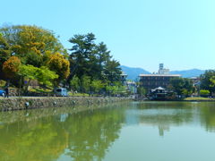 奈良　猿沢池