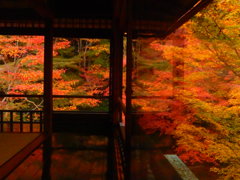 瑠璃光院