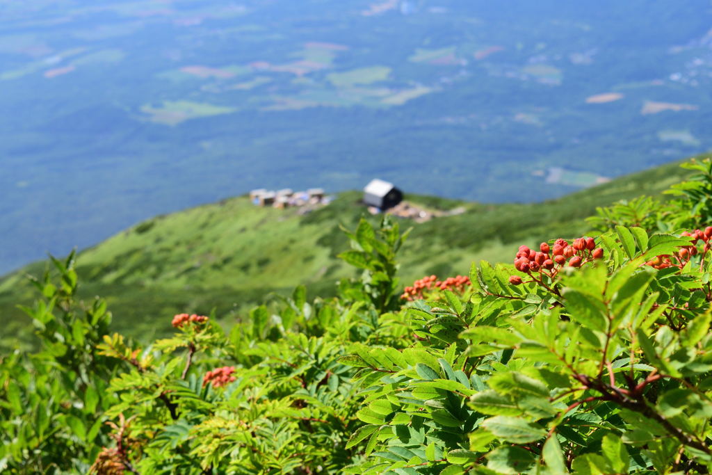羊蹄山　山小屋