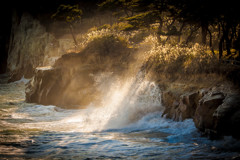wave