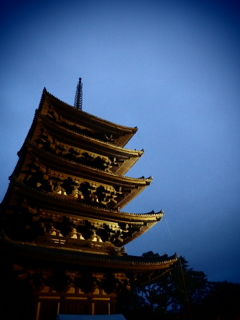 奈良公園 興福寺