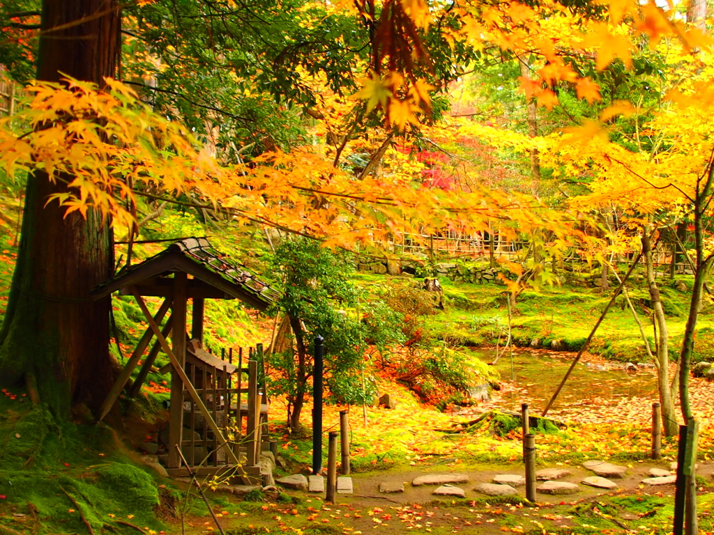 西明寺