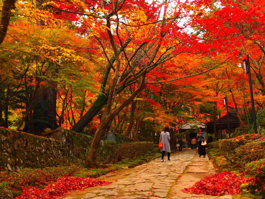 金剛輪寺