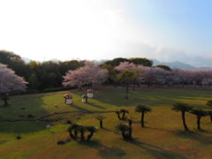 公園