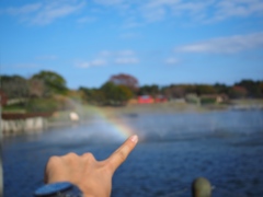虹