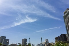 中之島公園の空