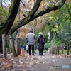 DSC00919