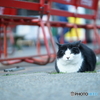 DSC04099