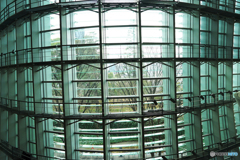 DSC06549