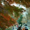 DSC00910
