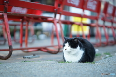 DSC04100