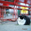 DSC04100