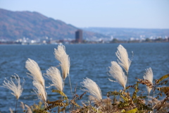 諏訪湖3