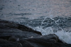 駿河湾1
