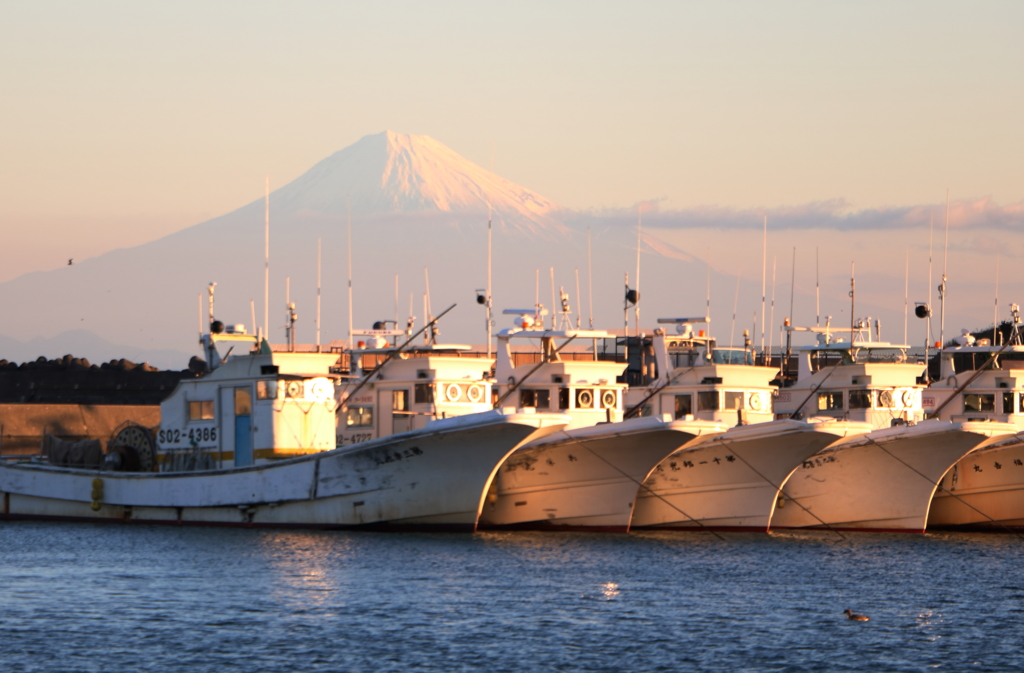 朝日を浴びて