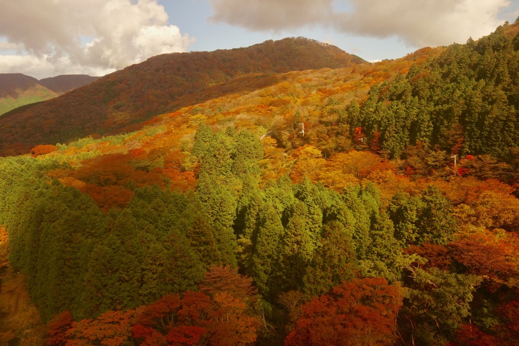 秋色に染まる山