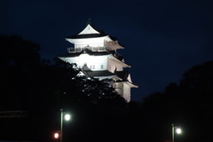 ライトアップ