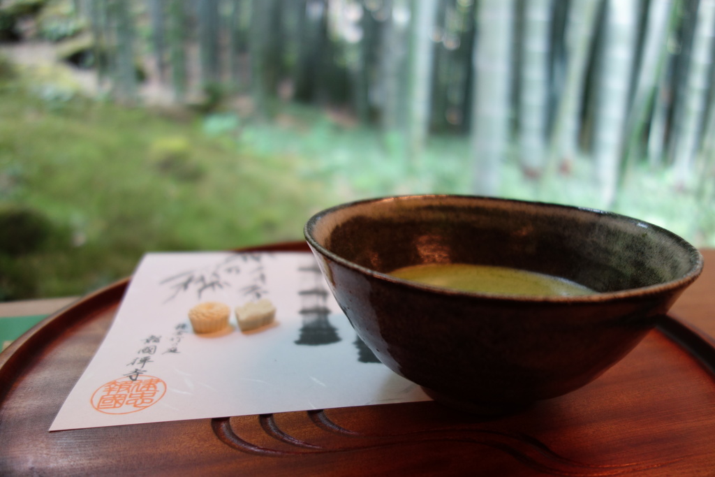 抹茶と竹林