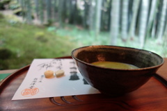 抹茶と竹林
