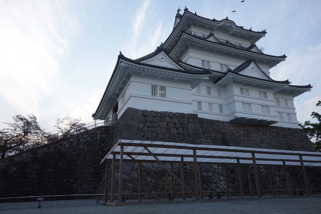 『城の名は。』