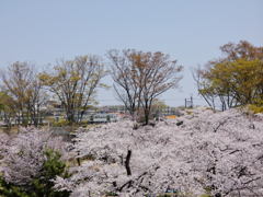 P1540266-SDS9