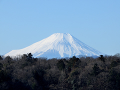 富士山　その１