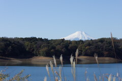 多摩湖と富士山 2023/11/19