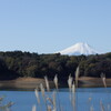 多摩湖と富士山 2023/11/19