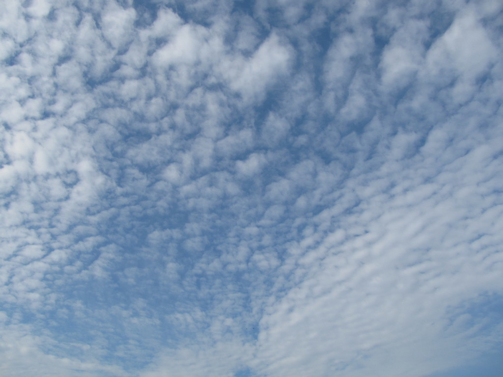 昨日に欲しかった、秋の空。