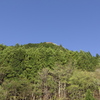 春の青空と山肌