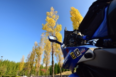 宍粟の山奥にて