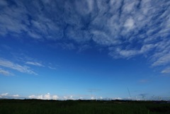 風の高台