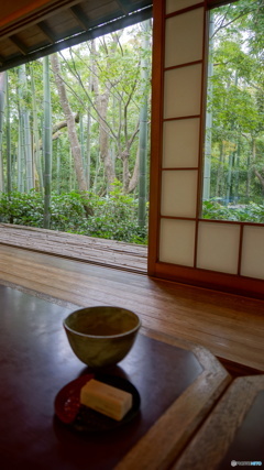 京都大河内山荘庭園。。　お茶をいただきながら・・・・