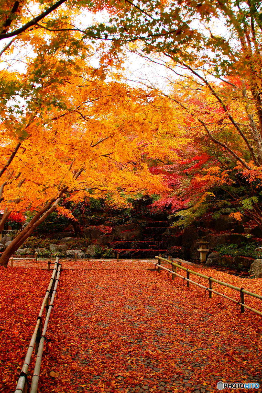 2016年、紅葉　勝尾寺　3