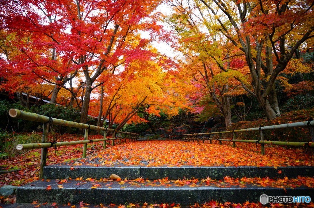 2014秋の勝尾寺　観光客が居ない間に。。