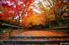 2014秋の勝尾寺　観光客が居ない間に。。