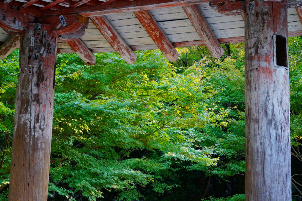 平等院　六角堂から。。