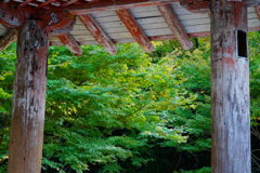平等院　六角堂から。。