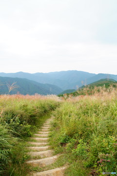 岩湧山　カヤ【ススキ】の階段。。