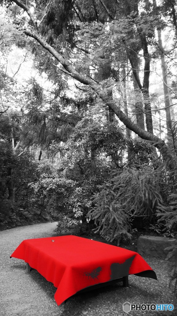 京都　大河内山荘庭園　RED。。